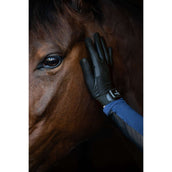 Equestrian Stockholm Reithandschuhe Summer Black Edition Equestrian Stockholm Reithandschuhe Summer Black Edition