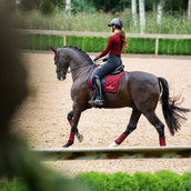 Equestrian Stockholm Schabracke Line Dressur Bordeaux Equestrian Stockholm Schabracke Line Dressur Bordeaux
