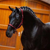 Equestrian Stockholm Halfter Line Bordeaux Equestrian Stockholm Halfter Line Bordeaux