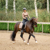 Equestrian Stockholm Schabracke Line Dressur Champagne Equestrian Stockholm Schabracke Line Dressur Champagne