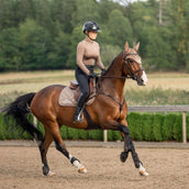 Equestrian Stockholm Schabracke Line Springen Champagne Equestrian Stockholm Schabracke Line Springen Champagne