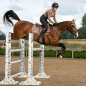 Equestrian Stockholm Schabracke Line Springen Champagne Equestrian Stockholm Schabracke Line Springen Champagne