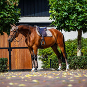Equestrian Stockholm Schabracke Line Springen Champagne Equestrian Stockholm Schabracke Line Springen Champagne