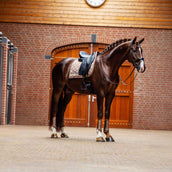 Equestrian Stockholm Schabracke Line Dressur Champagne Equestrian Stockholm Schabracke Line Dressur Champagne