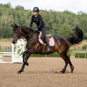 Equestrian Stockholm Schabracke Line Springen Rosa Equestrian Stockholm Schabracke Line Springen Rosa