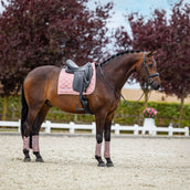 Equestrian Stockholm Schabracke Line Dressur Rosa Equestrian Stockholm Schabracke Line Dressur Rosa