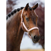 Equestrian Stockholm Halfter Line Rosa Equestrian Stockholm Halfter Line Rosa