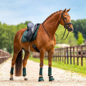 Equestrian Stockholm Schabracke Satin Dressur Sycamore Green Equestrian Stockholm Schabracke Satin Dressur Sycamore Green