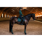 Equestrian Stockholm Schabracke Dressur Sycamore Green Equestrian Stockholm Schabracke Dressur Sycamore Green