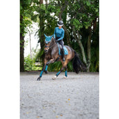 Equestrian Stockholm Fliegenhaube Modern Teal Blue Equestrian Stockholm Fliegenhaube Modern Teal Blue