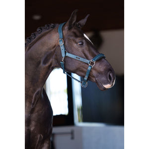 Equestrian Stockholm Halfter Glimmer Leather Anatomic Teal Blue Equestrian Stockholm Halfter Glimmer Leather Anatomic Teal Blue