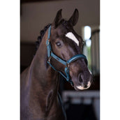 Equestrian Stockholm Halfter Glimmer Leather Anatomic Teal Blue Equestrian Stockholm Halfter Glimmer Leather Anatomic Teal Blue