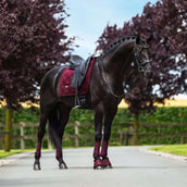 Equestrian Stockholm Gamaschen Mesh Merlot Equestrian Stockholm Gamaschen Mesh Merlot
