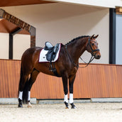 Equestrian Stockholm Schabracke Modern Dressur Weiß/Merlot Equestrian Stockholm Schabracke Modern Dressur Weiß/Merlot