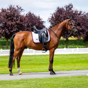 Equestrian Stockholm Schabracke Modern Dressur Weiß/Merlot Equestrian Stockholm Schabracke Modern Dressur Weiß/Merlot