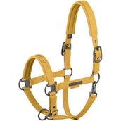 Eskadron Halfter Faux Leather Platinum '25 Golden Yellow Eskadron Halfter Faux Leather Platinum '25 Golden Yellow