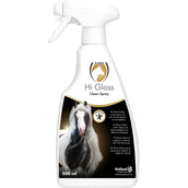 Excellent Hi Gloss Clean Spray Excellent Hi Gloss Clean Spray