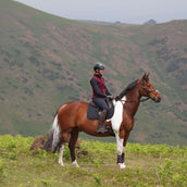 Aubrion by Shires Weste Original Fleece Maroon Aubrion by Shires Weste Original Fleece Maroon