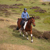 Aubrion by Shires Pullover Original Fleece Blau Aubrion by Shires Pullover Original Fleece Blau