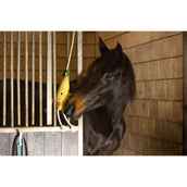 Excellent Horse Foodie Friends Pear Excellent Horse Foodie Friends Pear