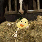 Excellent Horse Foodie Friends Pear Excellent Horse Foodie Friends Pear