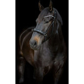 Catago Kinnriemen Gentle Schwarz Catago Kinnriemen Gentle Schwarz