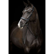 Catago Reithalfter Gentle Schwarz Catago Reithalfter Gentle Schwarz