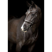 Catago Stirnriemen Gentle Braun Catago Stirnriemen Gentle Braun