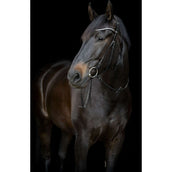 Catago Stirnriemen Gentle Schwarz Catago Stirnriemen Gentle Schwarz