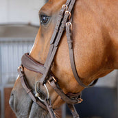 Harry's Horse Zaum Bombastic Crystals Braun Harry's Horse Zaum Bombastic Crystals Braun