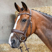 Harry's Horse Zaum Bombastic Crystals Braun Harry's Horse Zaum Bombastic Crystals Braun