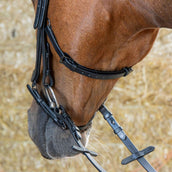 Harry's Horse Zaum Anatomic Black Crystal Schwarz Harry's Horse Zaum Anatomic Black Crystal Schwarz