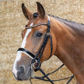 Harry's Horse Kandarenzaum Soft Rosegold Schwarz Harry's Horse Kandarenzaum Soft Rosegold Schwarz