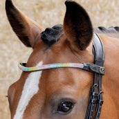 Harry's Horse Stirnriemen Rainbow Regenbogen Harry's Horse Stirnriemen Rainbow Regenbogen