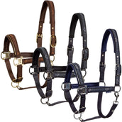 Harry's Horse Halfterset EQS Black-Sand Harry's Horse Halfterset EQS Black-Sand