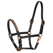Harry's Horse Halfter Crystal Pony/Fohlen Schwarz/Roségold Harry's Horse Halfter Crystal Pony/Fohlen Schwarz/Roségold