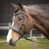 Harry's Horse Kapzaum Comfort Leder Schwarz Harry's Horse Kapzaum Comfort Leder Schwarz