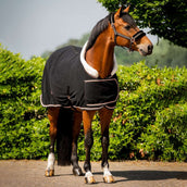 HB Show Rug Dutch Crown Europe Rose Schwarz HB Show Rug Dutch Crown Europe Rose Schwarz