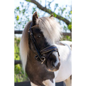 HB Zaum Rocky Glitzer Braun HB Zaum Rocky Glitzer Braun