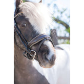 HB Zaum Rocky Glitzer Braun HB Zaum Rocky Glitzer Braun