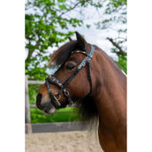 HB Ruitersport Zaum Showtime Leopard Schwarz HB Ruitersport Zaum Showtime Leopard Schwarz