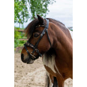 HB Ruitersport Zaum Showtime Leopard Schwarz HB Ruitersport Zaum Showtime Leopard Schwarz