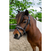 HB Ruitersport Zaum Showtime Leopard Schwarz HB Ruitersport Zaum Showtime Leopard Schwarz