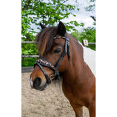 HB Ruitersport Zaum Showtime Leopard Schwarz HB Ruitersport Zaum Showtime Leopard Schwarz