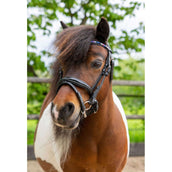 HB Ruitersport Zaum Showtime Petit Royal Schwarz HB Ruitersport Zaum Showtime Petit Royal Schwarz