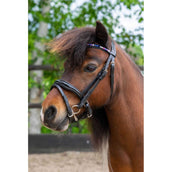 HB Ruitersport Zaum Showtime Petit Royal Schwarz HB Ruitersport Zaum Showtime Petit Royal Schwarz