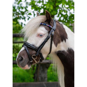 HB Ruitersport Zaum Showtime Petit Royal Schwarz HB Ruitersport Zaum Showtime Petit Royal Schwarz