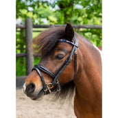 HB Ruitersport Zaum Showtime Petit Royal Schwarz HB Ruitersport Zaum Showtime Petit Royal Schwarz