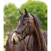 HB Showtime Zaum Las Vegas Schwarz/Navy Funkeln HB Showtime Zaum Las Vegas Schwarz/Navy Funkeln