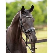 HB Showtime Zaum Las Vegas Schwarz/Schwarz Funkeln HB Showtime Zaum Las Vegas Schwarz/Schwarz Funkeln